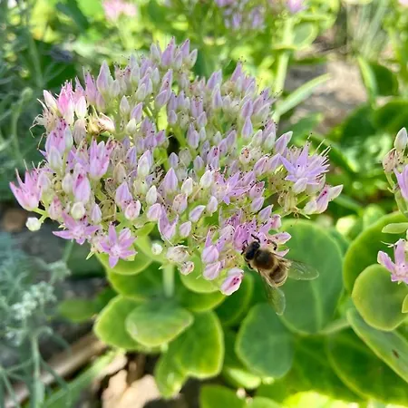 Διαμέρισμα Hellobalaton